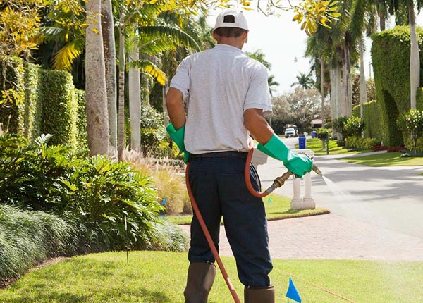 About Little Falls NJ Pest Control Pros